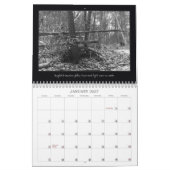 Schwarz-Weiß-Fotografien Tiere Landscape Bird Kalender (Jan 2027)