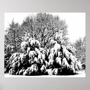 Schwarz-Weiß-Fotokunst Schnee Bäume Poster