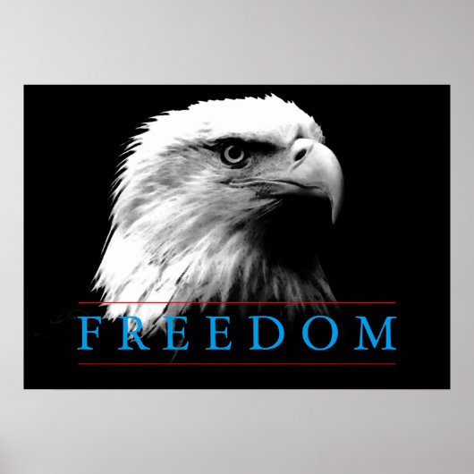 Schwarz-weiß Freedom American Eagle Poster (Vorne)
