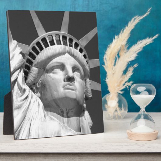 Schwarz-Weiß-Freiheitsstatue Fotoplatte (Seite)