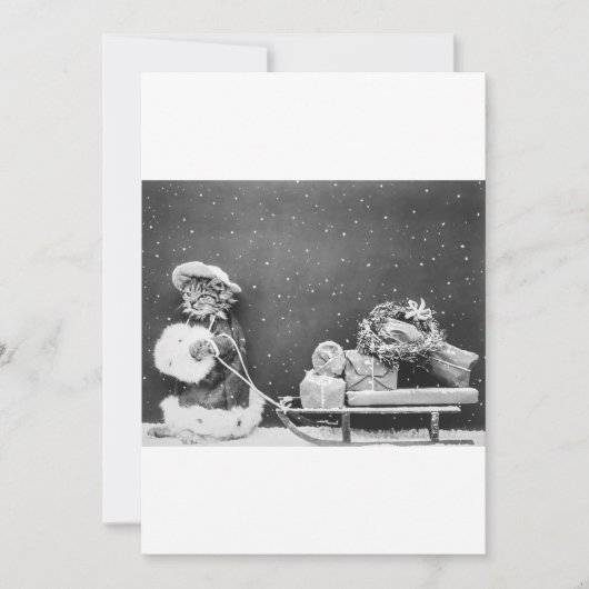 Schwarz-Weiß-Funny-Chat Weihnachtskarte Feiertagskarte (Vorderseite)