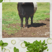 Schwarz-Weiß-Galloway-Kuh, Geschirrtuch (Gefaltet)