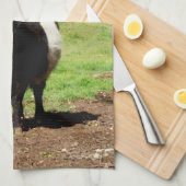 Schwarz-Weiß-Galloway-Kuh, Geschirrtuch (Viertel Falte)