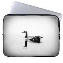 Schwarz-Weiß-Gans