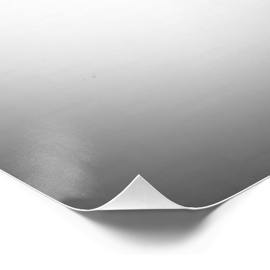 Schwarz-Weiß-Gans Poster (Ecke)