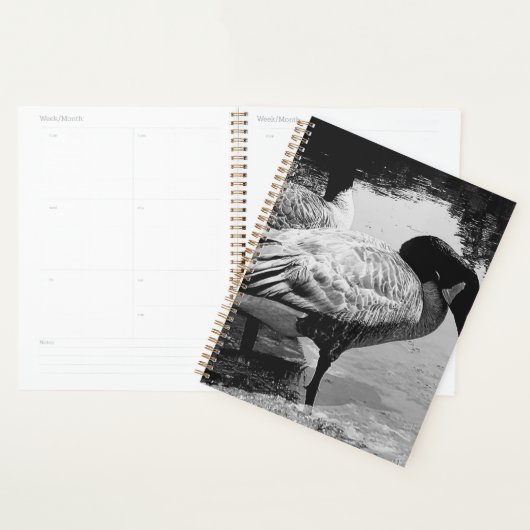 Schwarz-Weiß Gänse Stille Augenblick am See Planer (Anzeige)