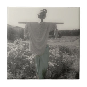 Schwarz-Weiß-Gartenschmuck Fliese