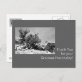 Schwarz-Weiß-Gastfreundschaft Vielen Dank Postkarte (Vorne/Hinten)