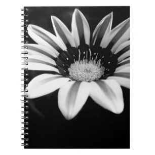 Schwarz-Weiß-Gazania-Blumenfotografie Notizblock