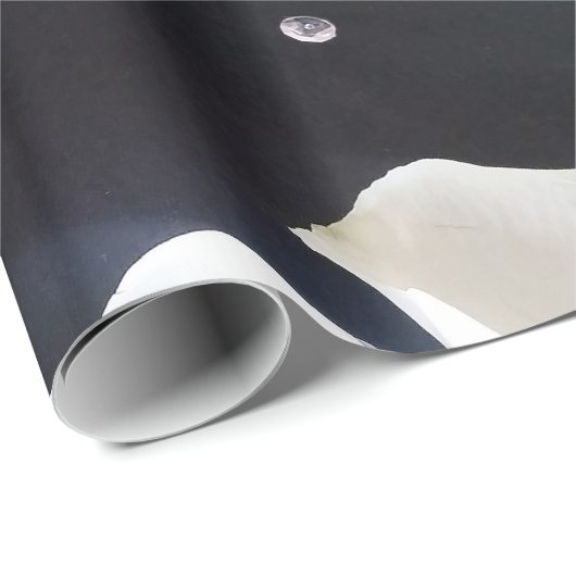Schwarz/Weiß Geschenkpapier (Rolleneckpunkt)