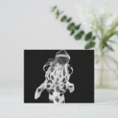 Schwarz-Weiß-Giraf-Portrait, tierisches Foto Postkarte (Stehend Vorderseite)