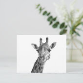Schwarz-Weiß-Giraffe Postkarte (Stehend Vorderseite)