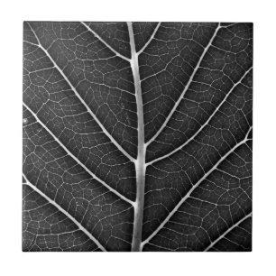 Schwarz-weiß glühendes Blatt Nahaufnahme Fliese
