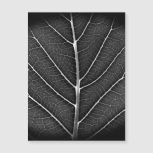 Schwarz-weiß glühendes Blatt Nahaufnahme Magnetkarte