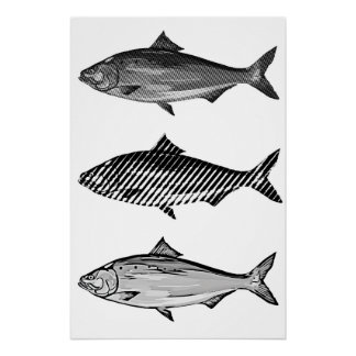Schwarz-weiß grafischer Fisch Poster