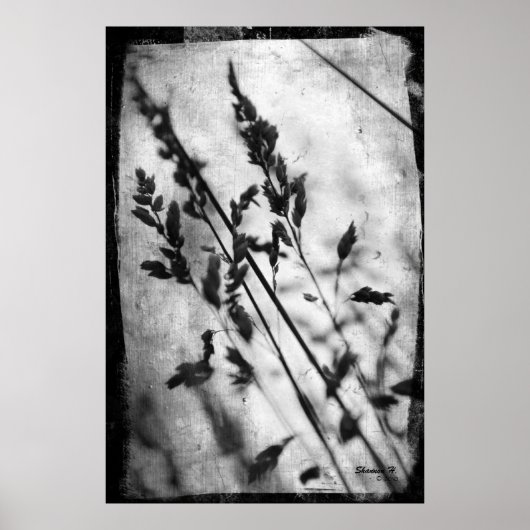 Schwarz-Weiß-Gras-Poster Poster (Vorne)