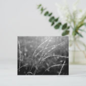 Schwarz-Weiß-Gras Postkarte (Stehend Vorderseite)