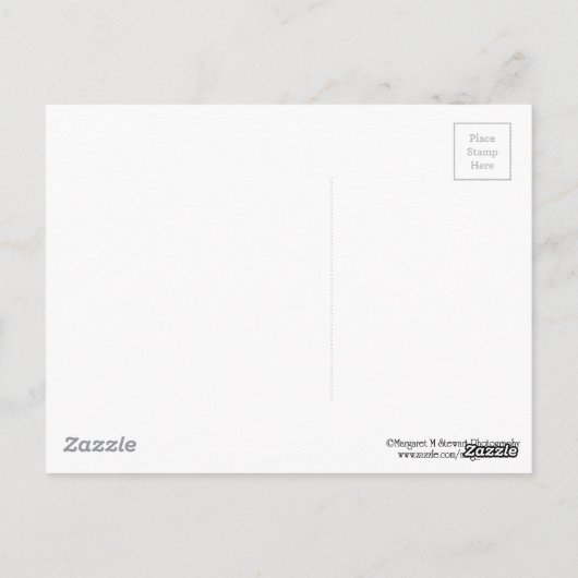 Schwarz-Weiß-Gras Postkarte (Rückseite)