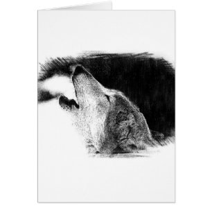 Schwarz-Weiß-Grau-Wolf-Sketch