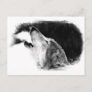 Schwarz-Weiß-Grau Wolf Skizze Kunstwerk Postkarte