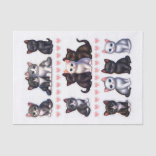 Schwarz-weiß-graue Katzenillustrationen Seidenpapier