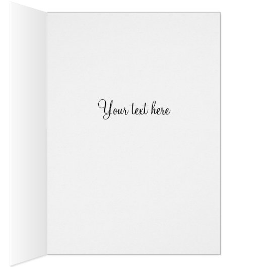 Schwarz-Weiß-Grenz-Hund (Innen (Rechts))