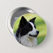 Schwarz-Weiß-Grenz-Hund Button (Vorne & Hinten)