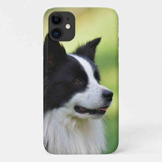 Schwarz-Weiß-Grenz-Hund Case-Mate iPhone Hülle (Rückseite)