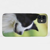 Schwarz-Weiß-Grenz-Hund Case-Mate iPhone Hülle (Rückseite (Horizontal))