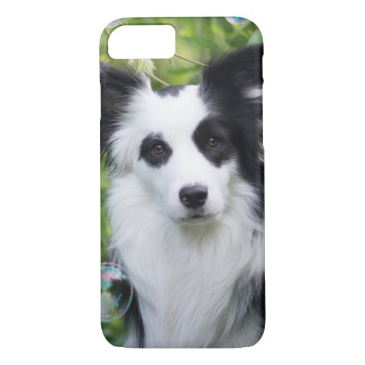 Schwarz-Weiß-Grenz-Hund Case-Mate iPhone Hülle (Rückseite)