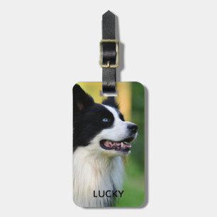 Schwarz-Weiß-Grenz-Hund Gepäckanhänger