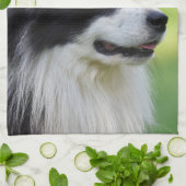 Schwarz-Weiß-Grenz-Hund Geschirrtuch (Gefaltet)