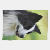 Schwarz-Weiß-Grenz-Hund Geschirrtuch (Horizontal)