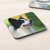 Schwarz-Weiß-Grenz-Hund Getränkeuntersetzer (Linke Seite)