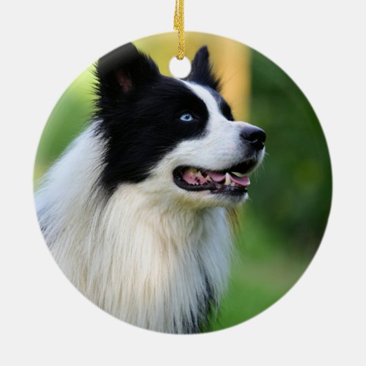 Schwarz-Weiß-Grenz-Hund Keramik Ornament (Hinten)
