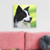 Schwarz-Weiß-Grenz-Hund Leinwanddruck (Insitu (Wohnzimmer))