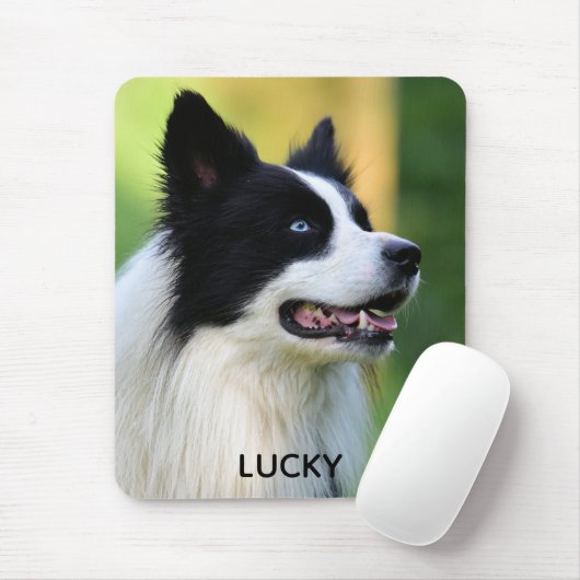 Schwarz-Weiß-Grenz-Hund Mousepad (Mit Mouse)
