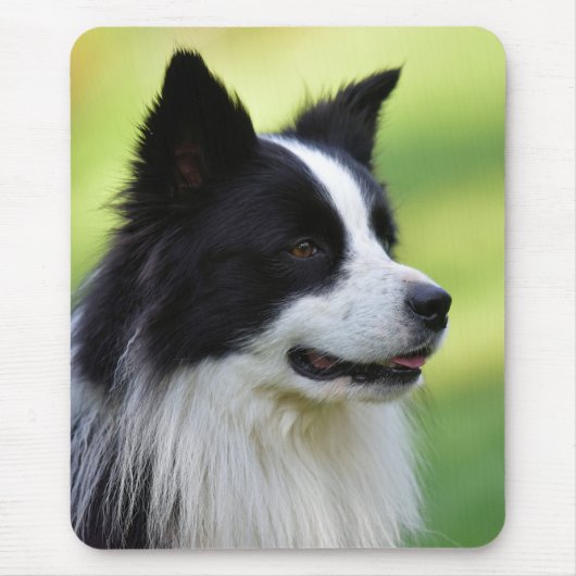 Schwarz-Weiß-Grenz-Hund Mousepad (Vorne)