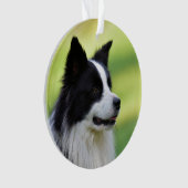 Schwarz-Weiß-Grenz-Hund Ornament (Vorderseite)