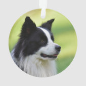 Schwarz-Weiß-Grenz-Hund Ornament (Rückseite)
