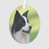 Schwarz-Weiß-Grenz-Hund Ornament (Vorderseite)