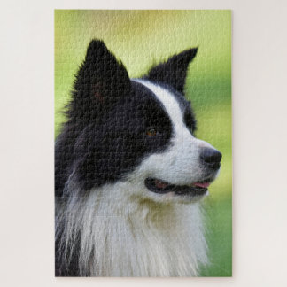 Schwarz-Weiß-Grenz-Hund Puzzle