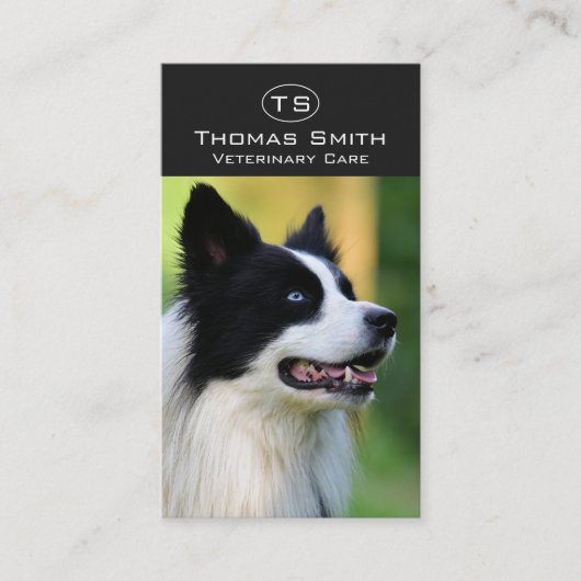Schwarz-Weiß-Grenz-Hund Visitenkarte (Vorderseite)