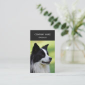 Schwarz-Weiß-Grenz-Hund Visitenkarte (Stehend Vorderseite)