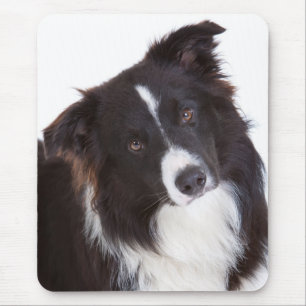 Schwarz-Weiß-Grenz-Kollie Welpe-Hund-Mousepad Mousepad