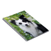 Schwarz-Weiß-Grenzkollie Notizblock (Rechte Seite)
