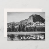 Schwarz-Weiß-Grüße aus Yellowstone Postkarte (Vorne/Hinten)