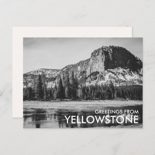 Schwarz-Weiß-Grüße aus Yellowstone Postkarte (Vorne/Hinten)