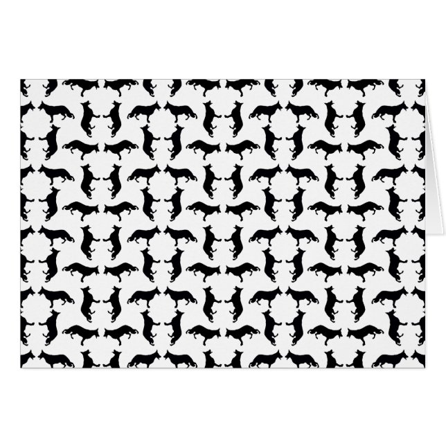 Schwarz-Weiß-Hirte (Vorderseite (Horizontal))