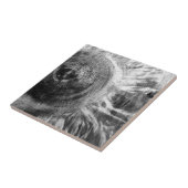 Schwarz-Weiß-Holzstruktur Fliese (Seite)